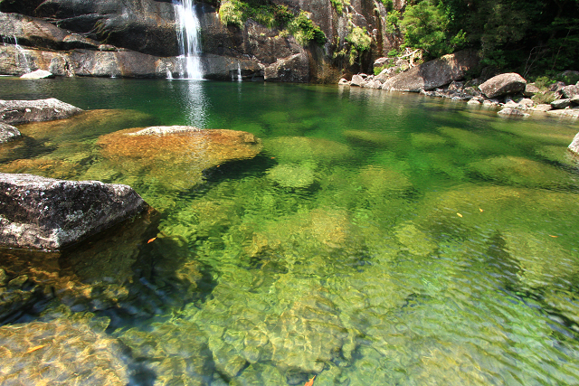 http://greenmessenger-yakushima.com/blog/resize1000.jpg