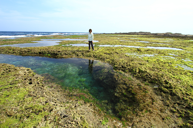 http://greenmessenger-yakushima.com/blog/resize1012.jpg