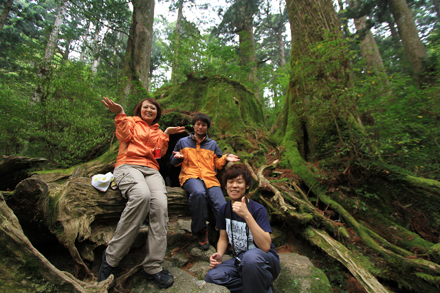 http://greenmessenger-yakushima.com/blog/resize1024.jpg