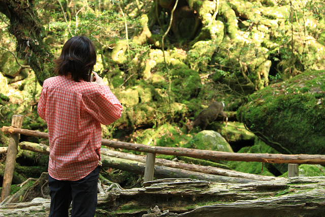 http://greenmessenger-yakushima.com/blog/resize1025.jpg