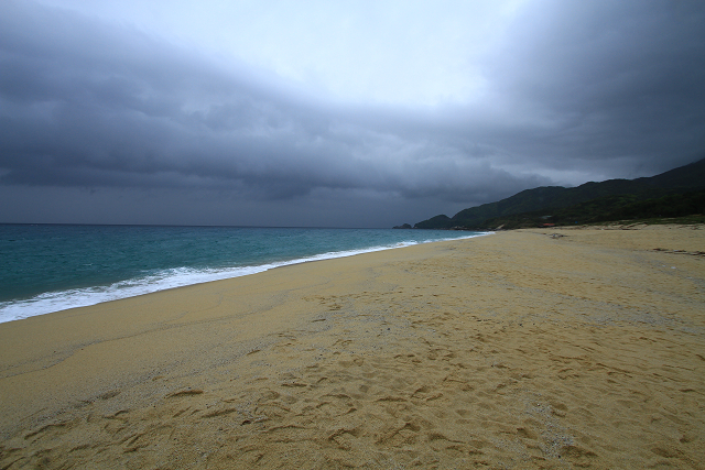 http://greenmessenger-yakushima.com/blog/resize1026.jpg