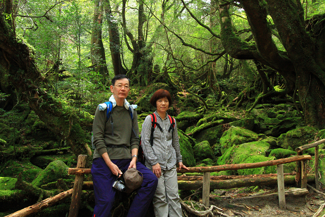 http://greenmessenger-yakushima.com/blog/resize1032.jpg