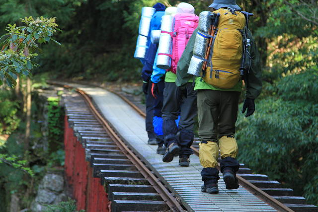 http://greenmessenger-yakushima.com/blog/resize1048.jpg