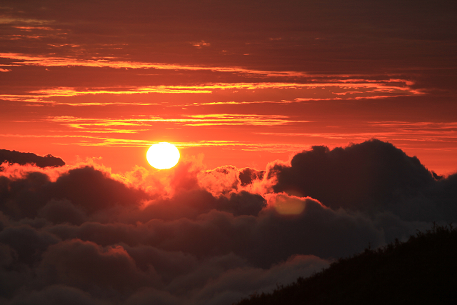 http://greenmessenger-yakushima.com/blog/resize1049.jpg