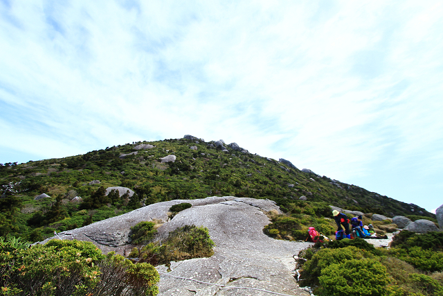 http://greenmessenger-yakushima.com/blog/resize1052.jpg