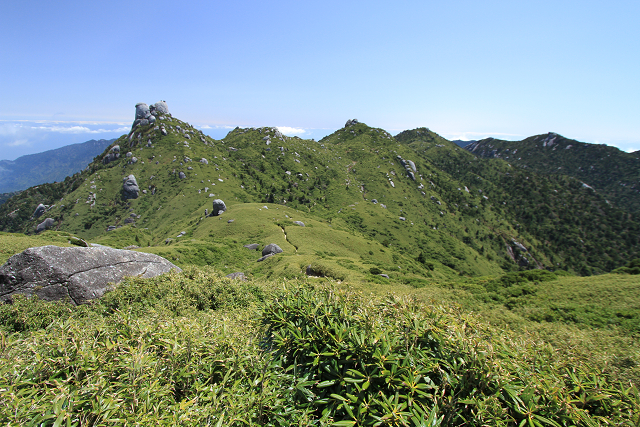 http://greenmessenger-yakushima.com/blog/resize1053.jpg