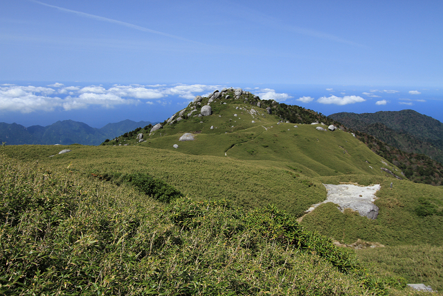 http://greenmessenger-yakushima.com/blog/resize1055.jpg