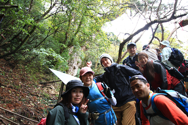 http://greenmessenger-yakushima.com/blog/resize1059.jpg