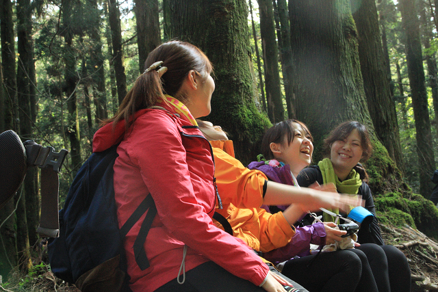 http://greenmessenger-yakushima.com/blog/resize1073.jpg