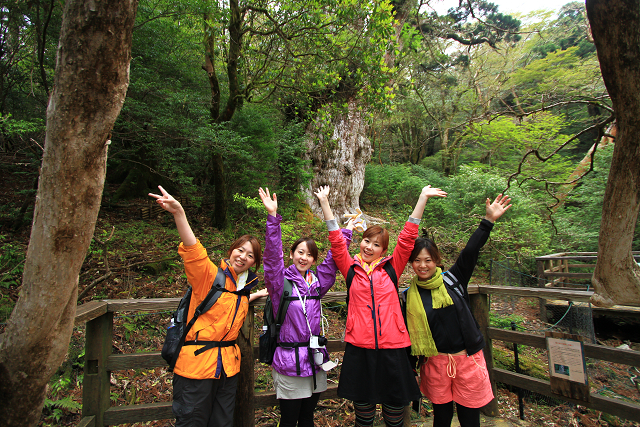 http://greenmessenger-yakushima.com/blog/resize1077.jpg