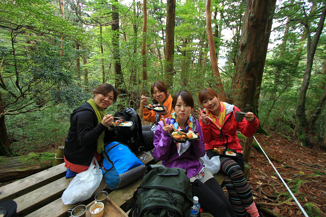 http://greenmessenger-yakushima.com/blog/resize1079.jpg