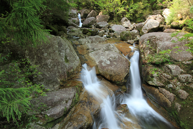 http://greenmessenger-yakushima.com/blog/resize1081.jpg