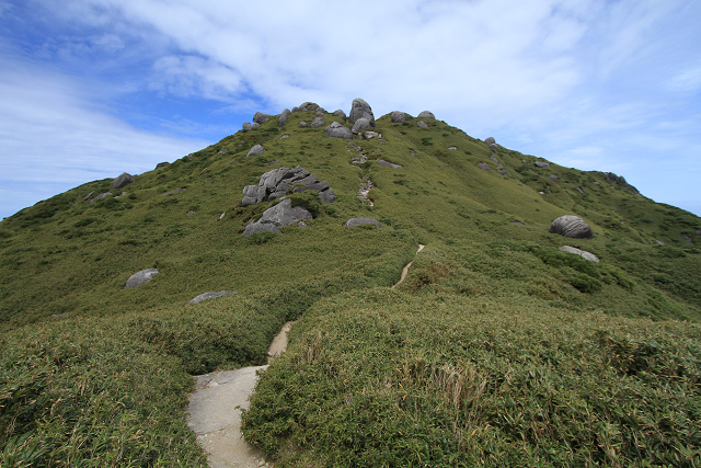 http://greenmessenger-yakushima.com/blog/resize1108.jpg