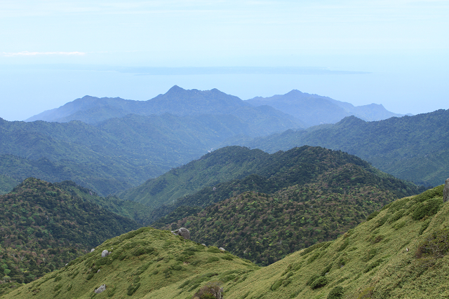 http://greenmessenger-yakushima.com/blog/resize1110.jpg