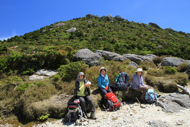 http://greenmessenger-yakushima.com/blog/resize1150.jpg