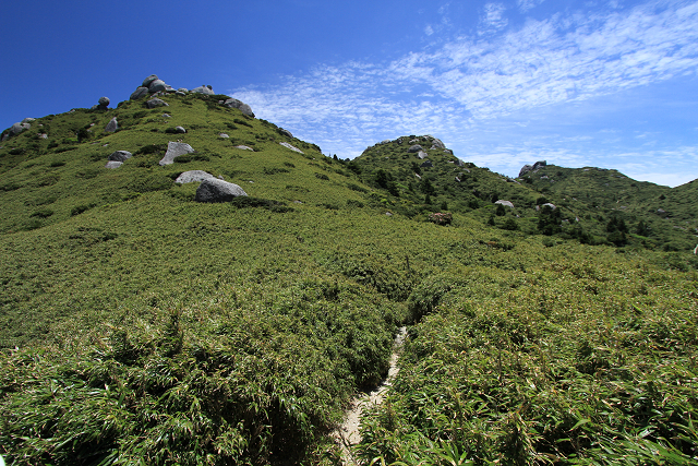 http://greenmessenger-yakushima.com/blog/resize1151.jpg