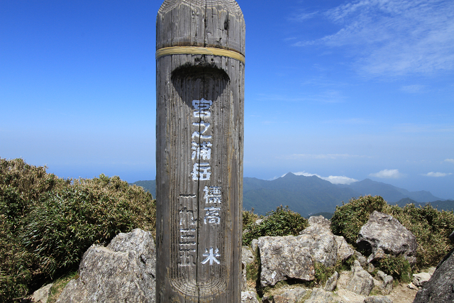 http://greenmessenger-yakushima.com/blog/resize1155.jpg