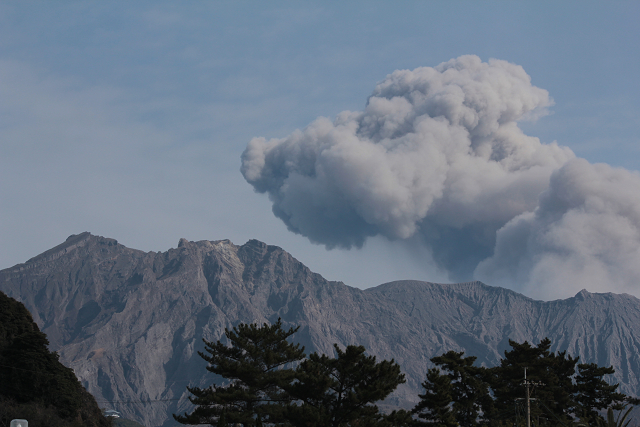 http://greenmessenger-yakushima.com/blog/resize1175.jpg