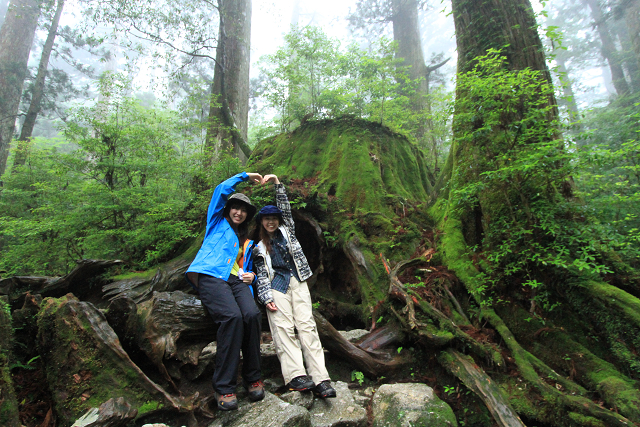 http://greenmessenger-yakushima.com/blog/resize1186.jpg