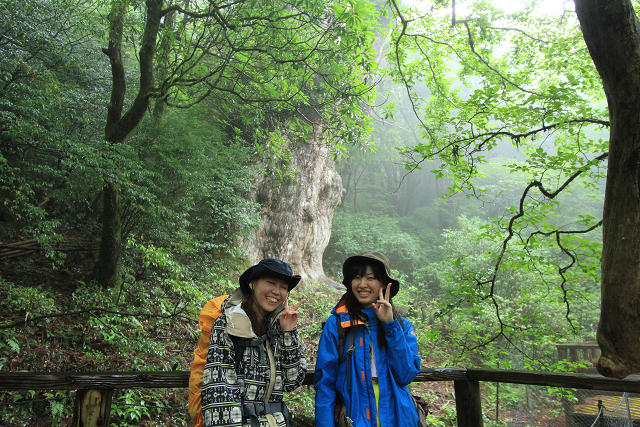 http://greenmessenger-yakushima.com/blog/resize1187.jpg