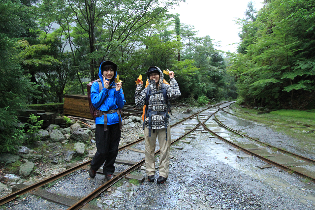 http://greenmessenger-yakushima.com/blog/resize1190.jpg