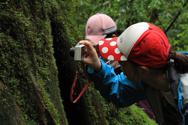 http://greenmessenger-yakushima.com/blog/resize1213.jpg