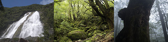フリースタイル（１日・半日）の風景