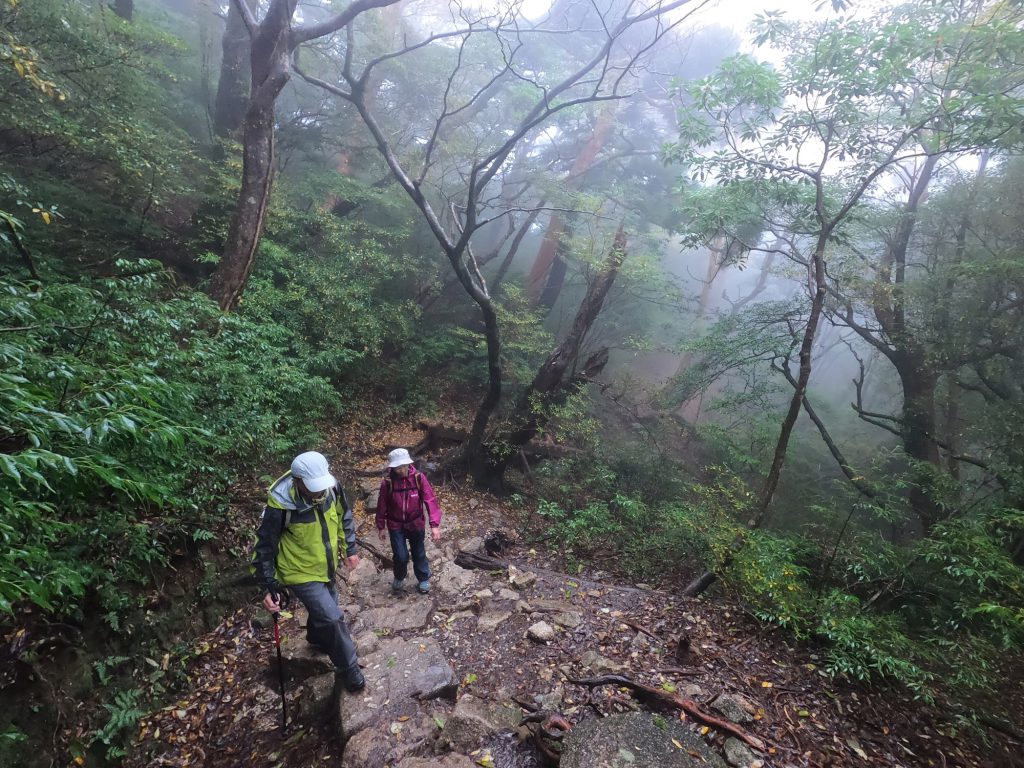 霧がかかった登山道
