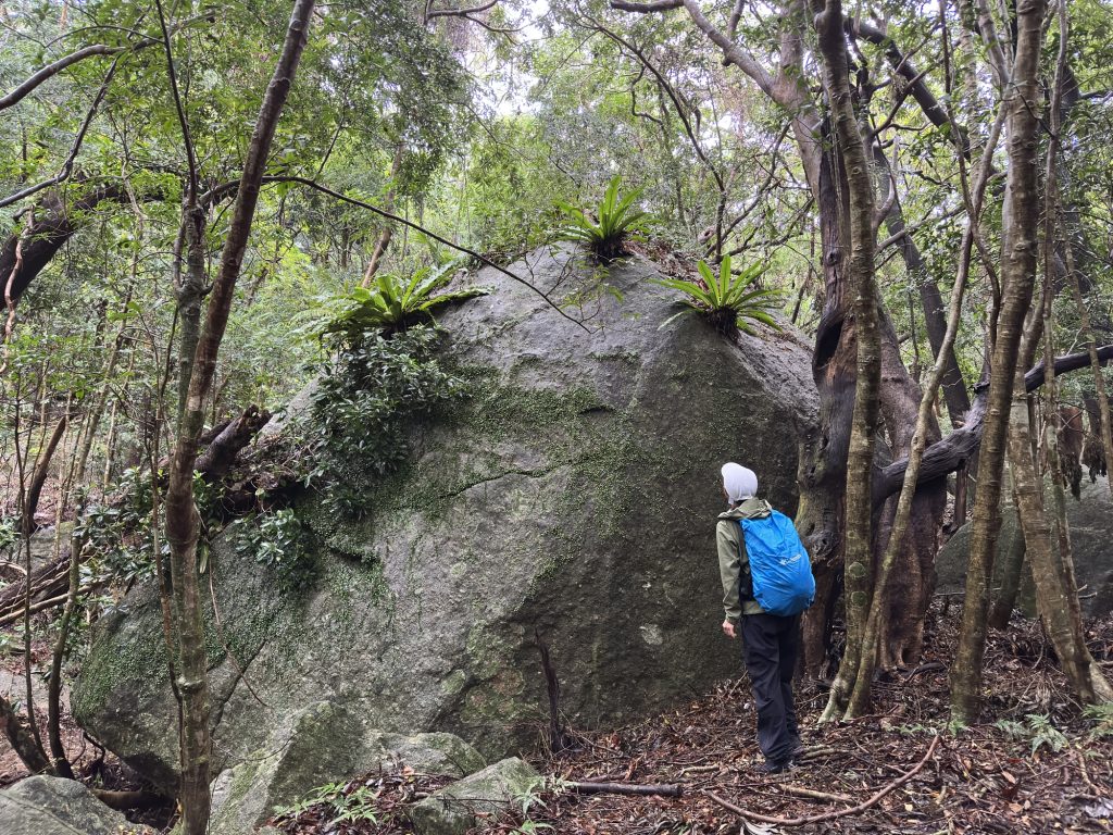 花崗岩の巨石