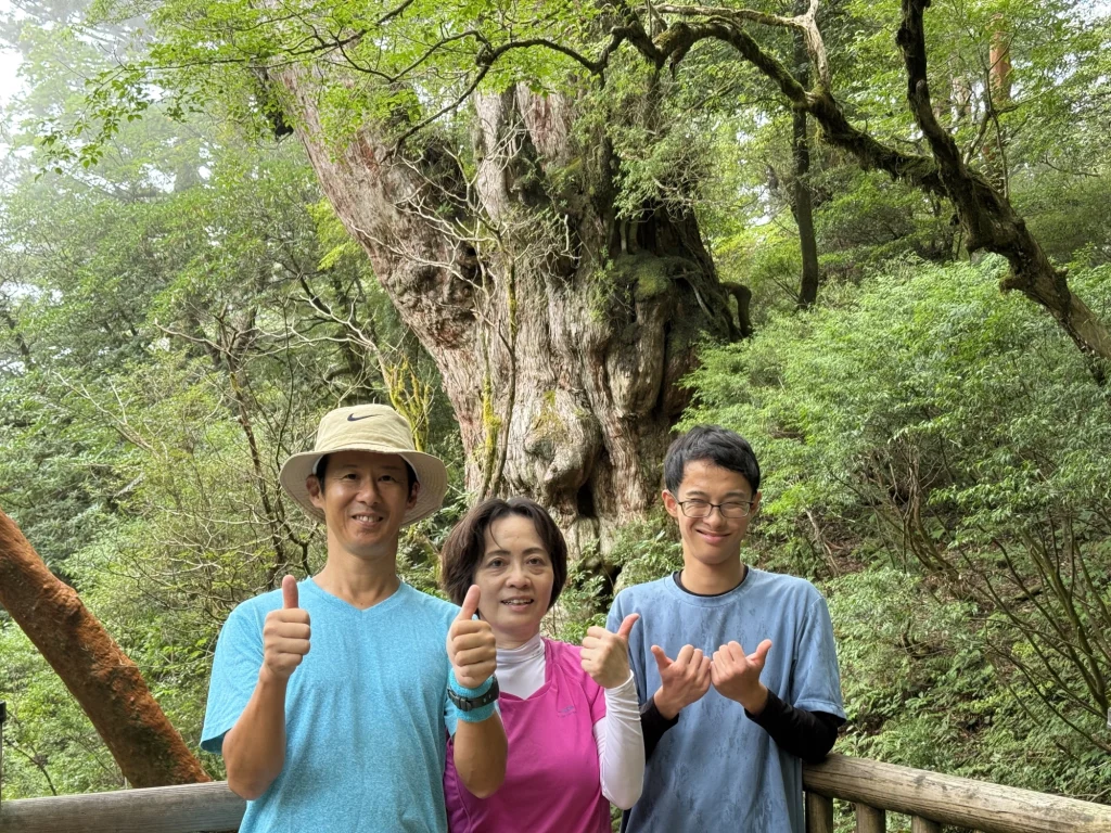 縄文杉