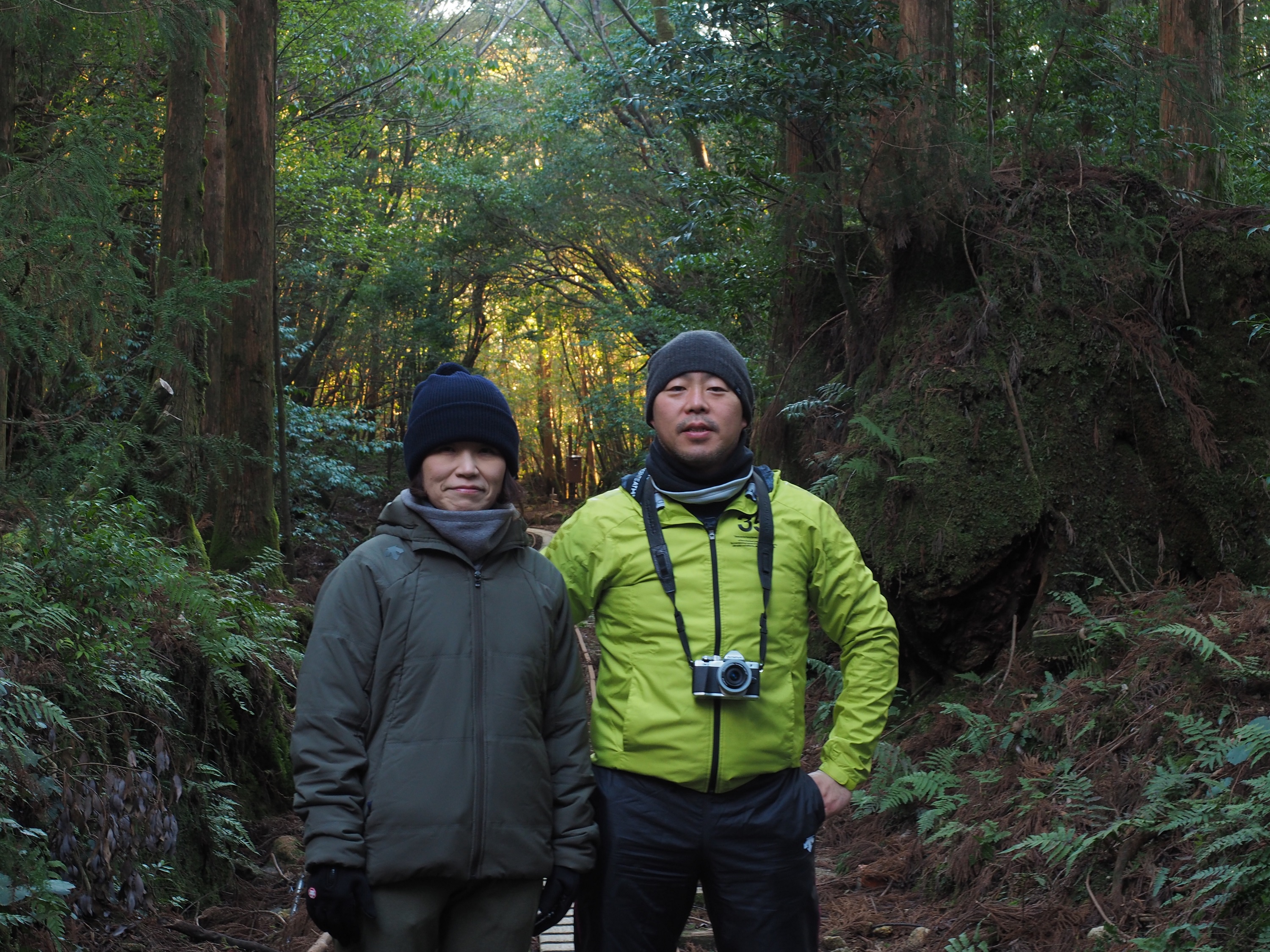 縄文杉コースのトロッコ道