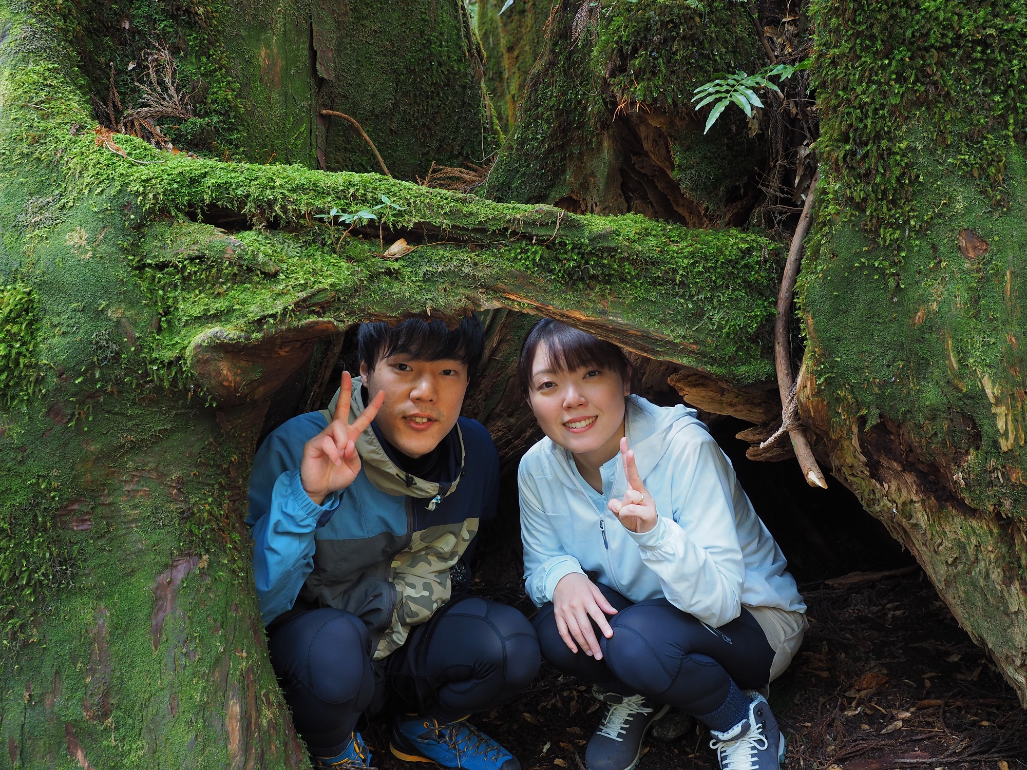 屋久杉の切り株の中