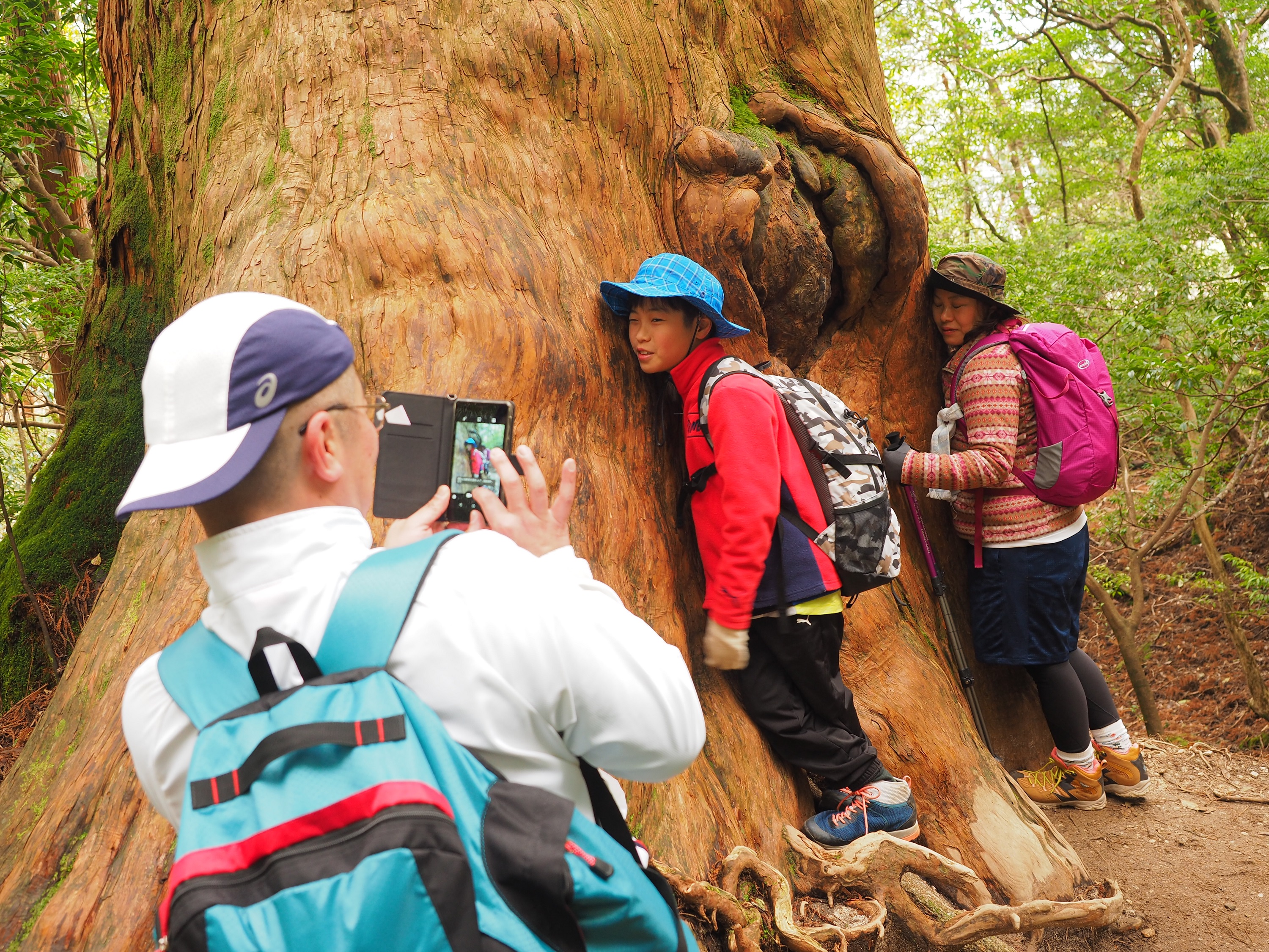 縄文杉コースの屋久杉と記念撮影