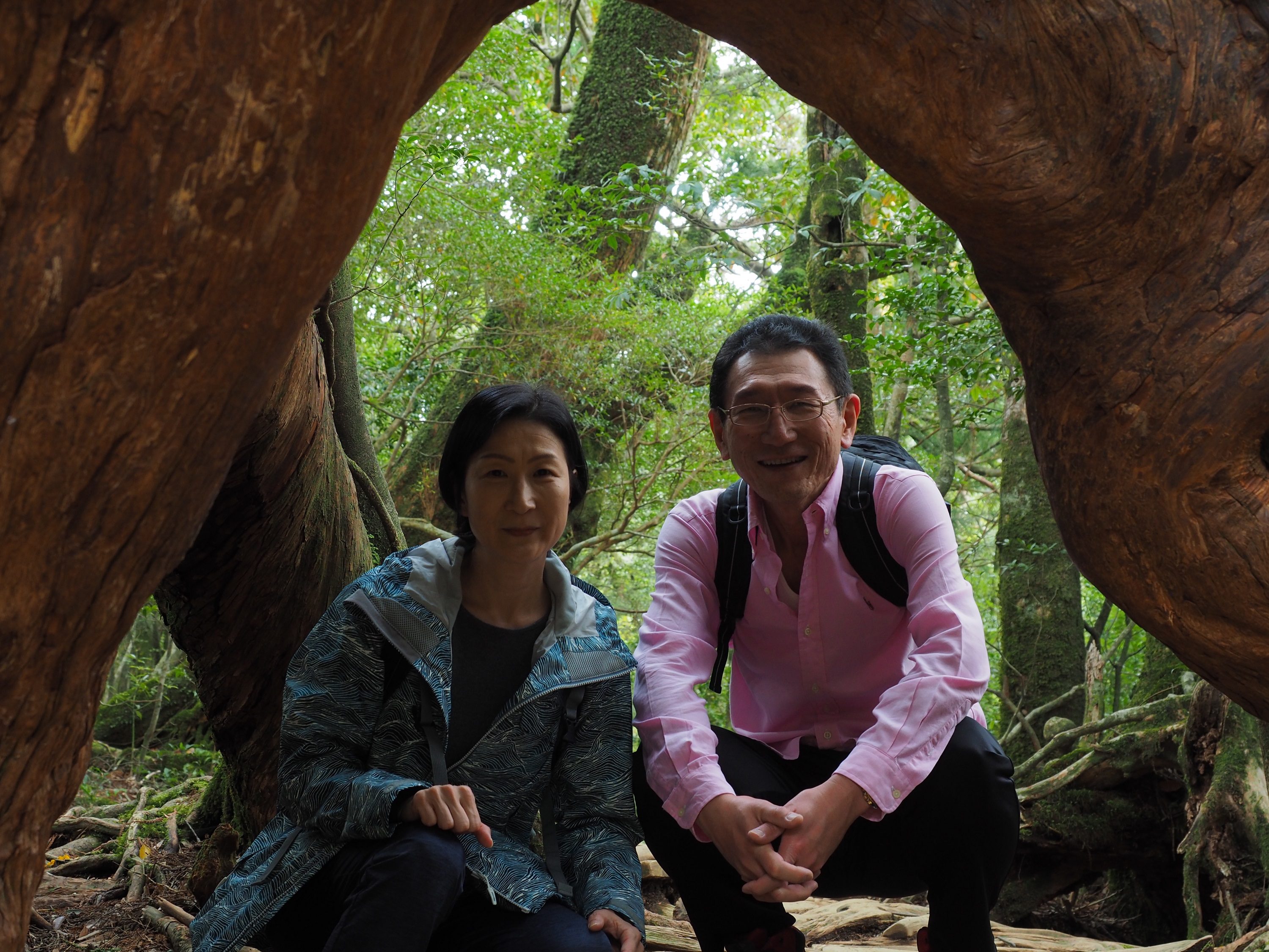 白谷雲水峡のくぐり杉で記念写真