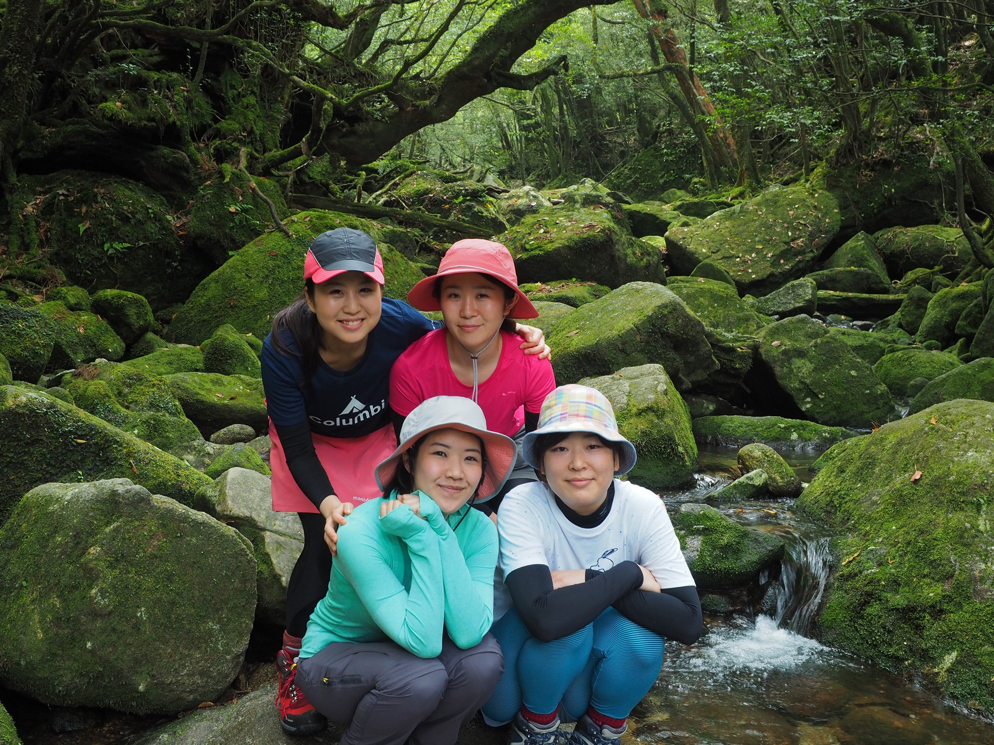 白谷雲水峡の白谷川