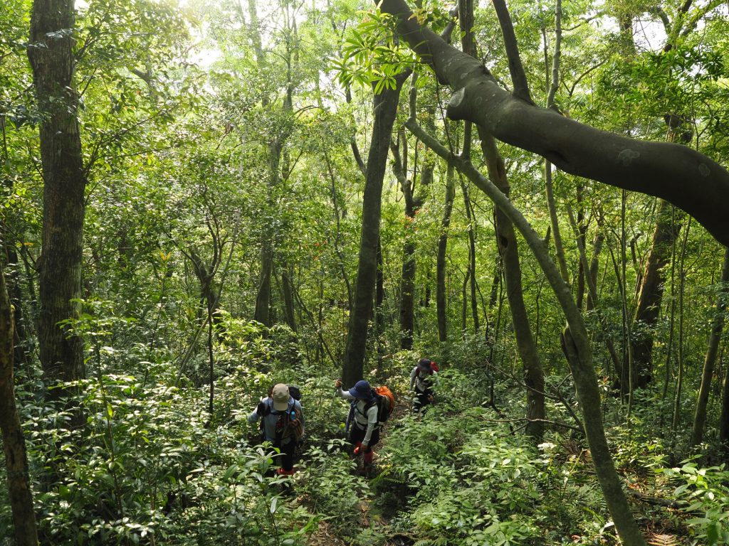 愛子岳登山道