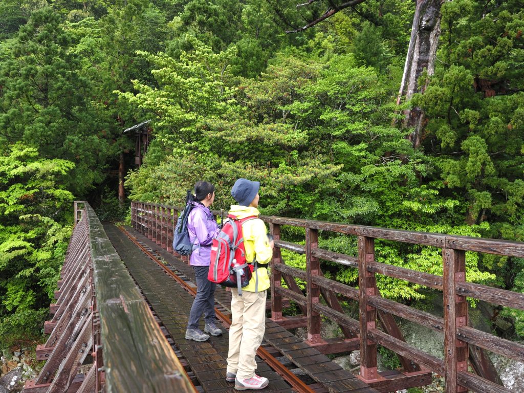 トロッコ道の小杉谷橋