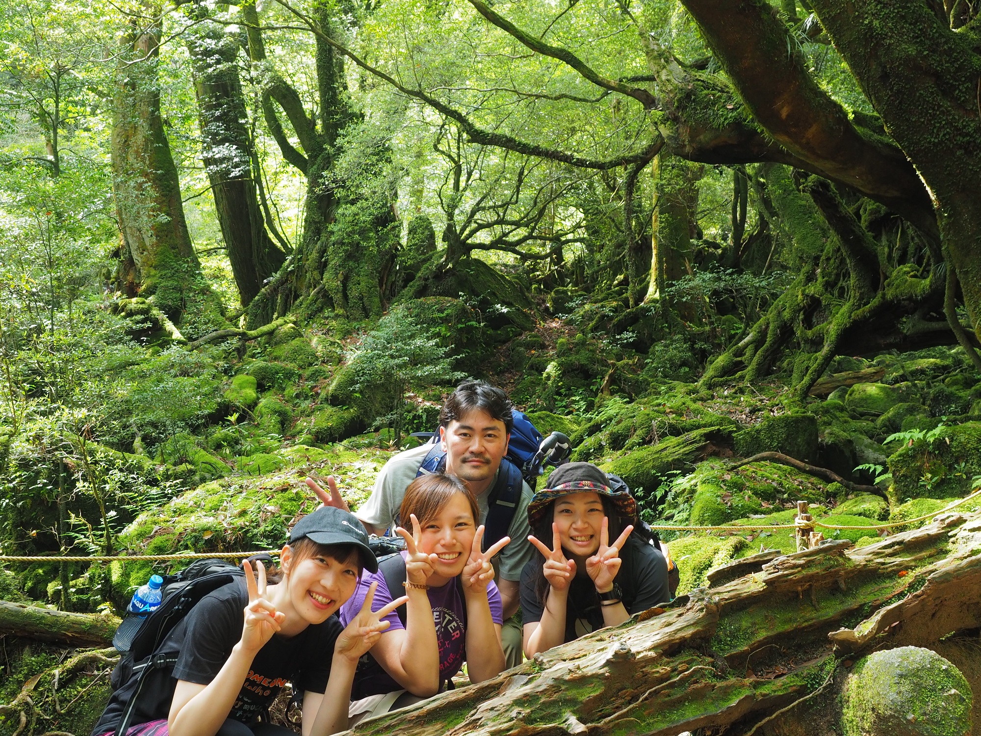 白谷雲水峡の苔むす森