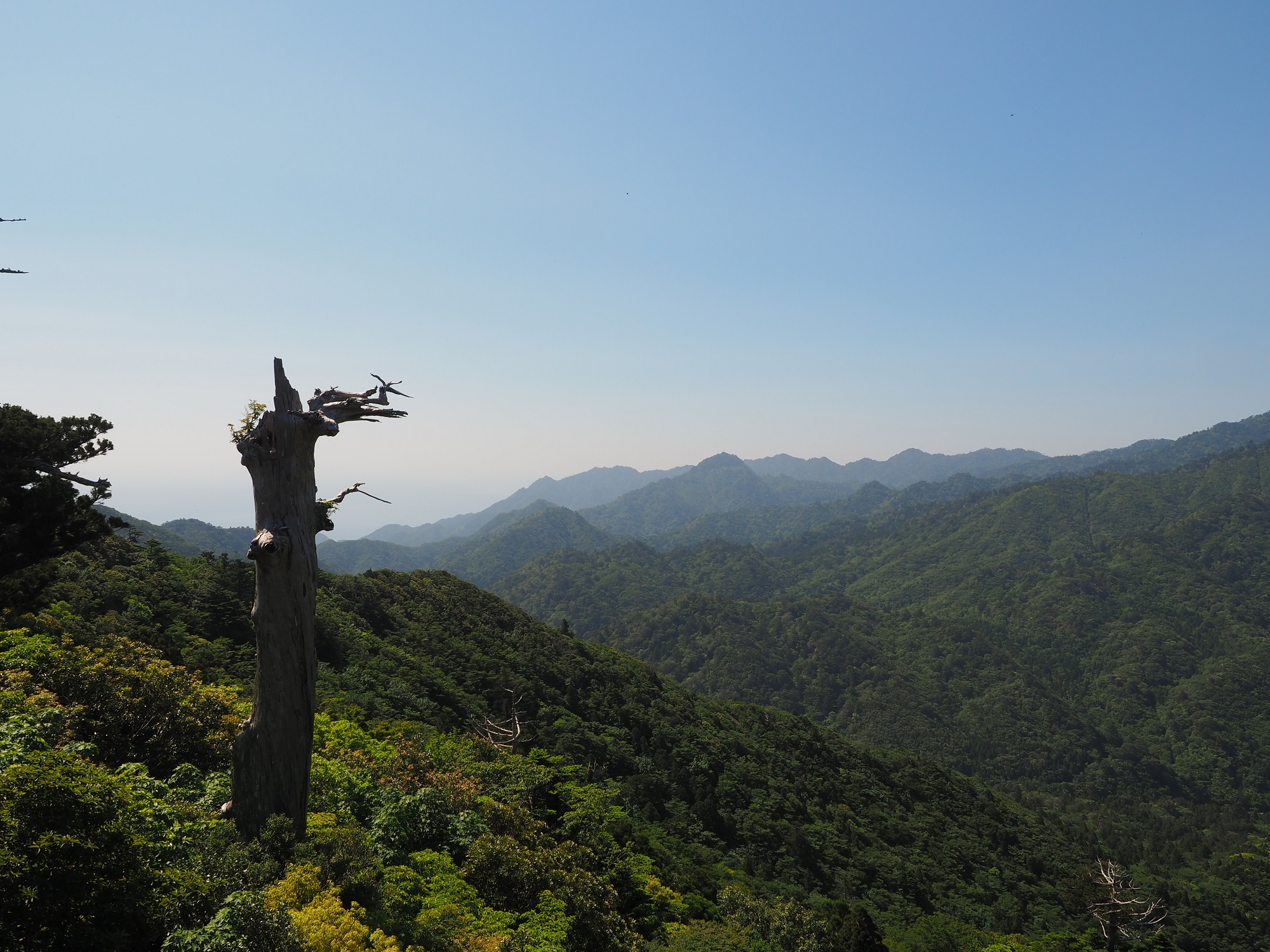 白谷雲水峡、太鼓岩からの景色