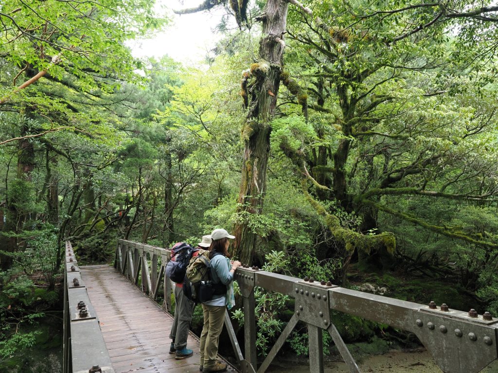 淀川