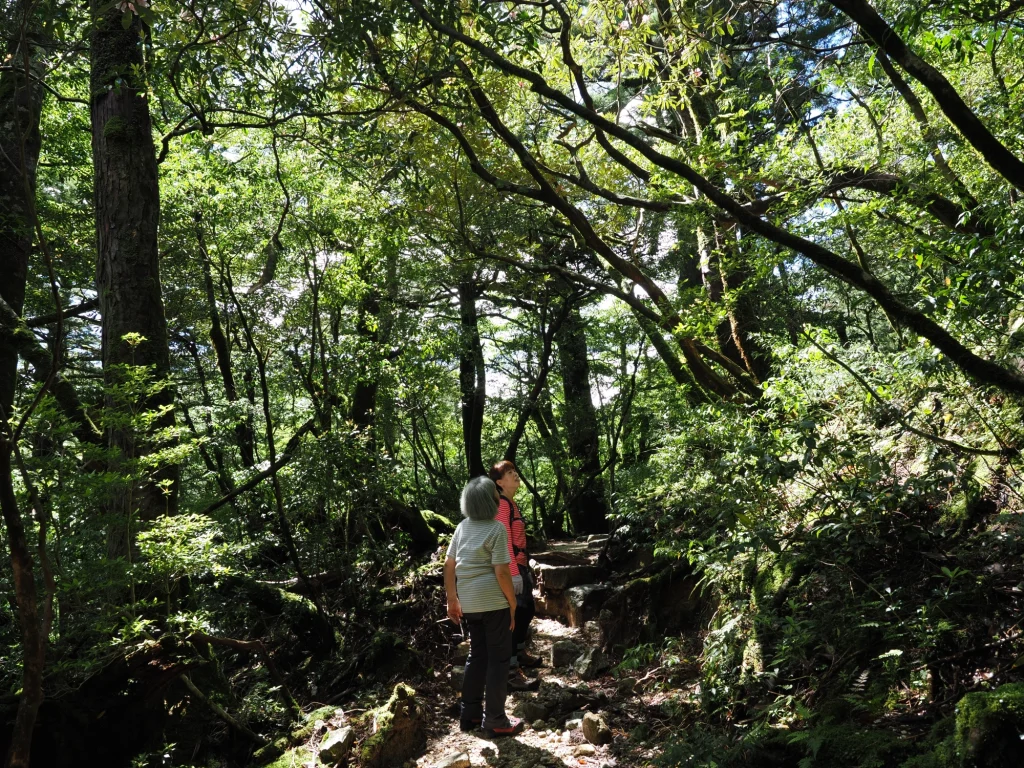 淀川登山口