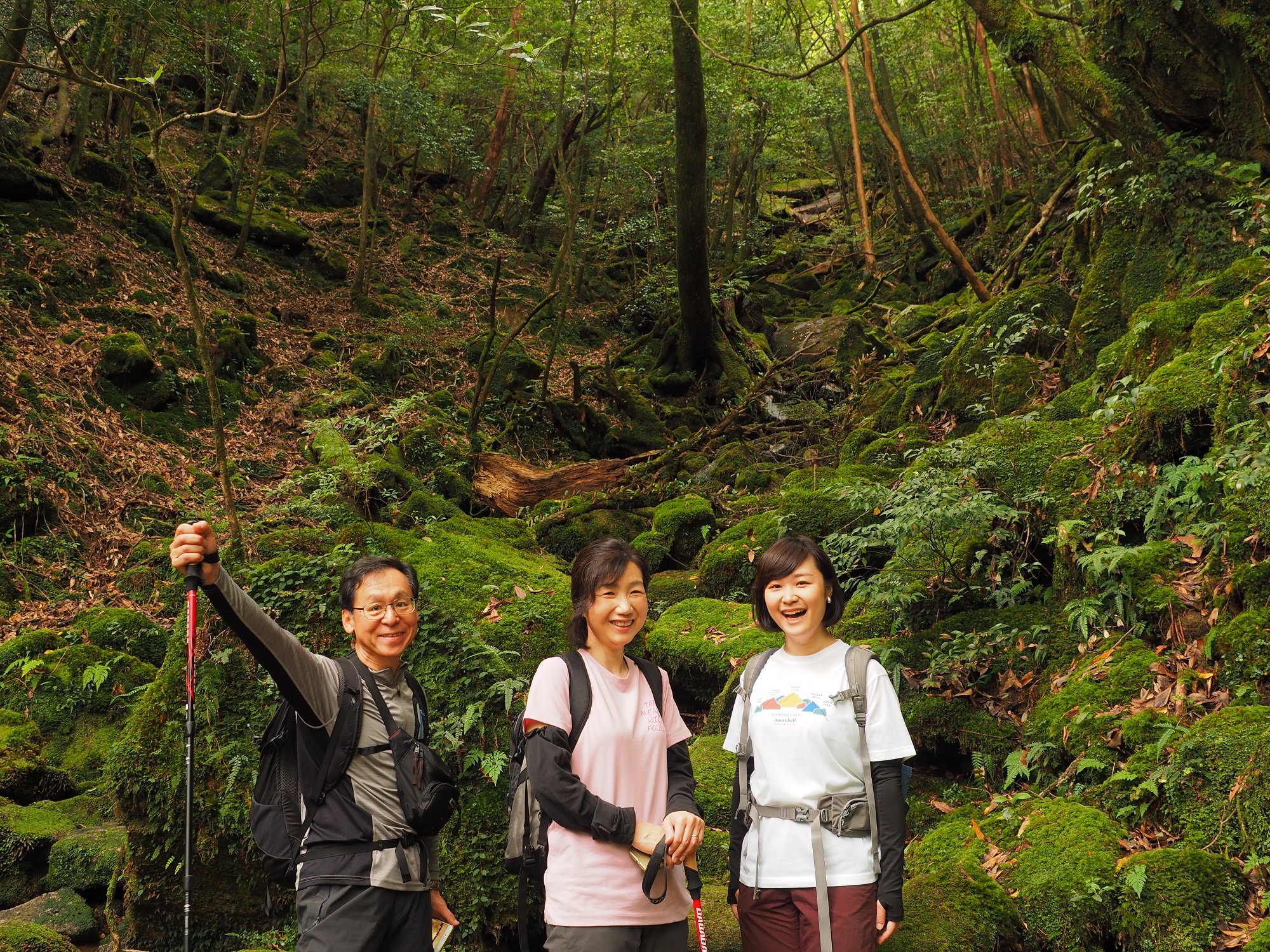 苔のきれいな沢