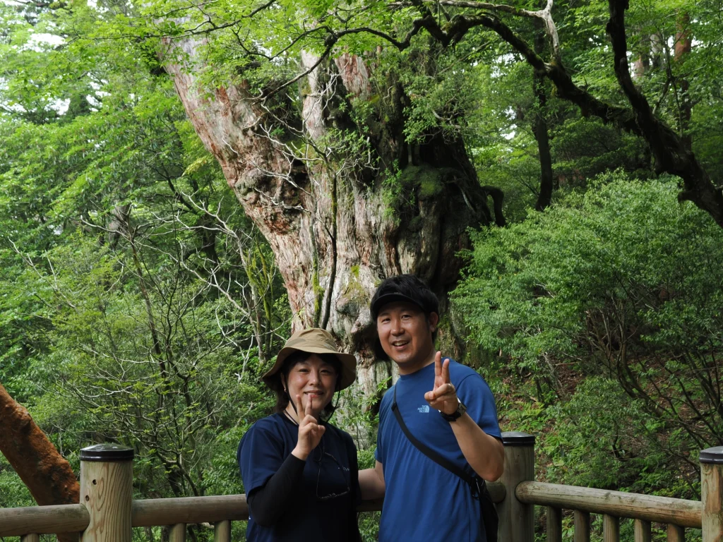 縄文杉