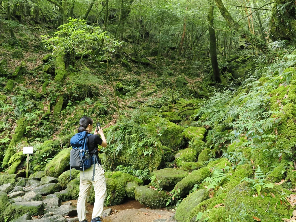 楠川歩道