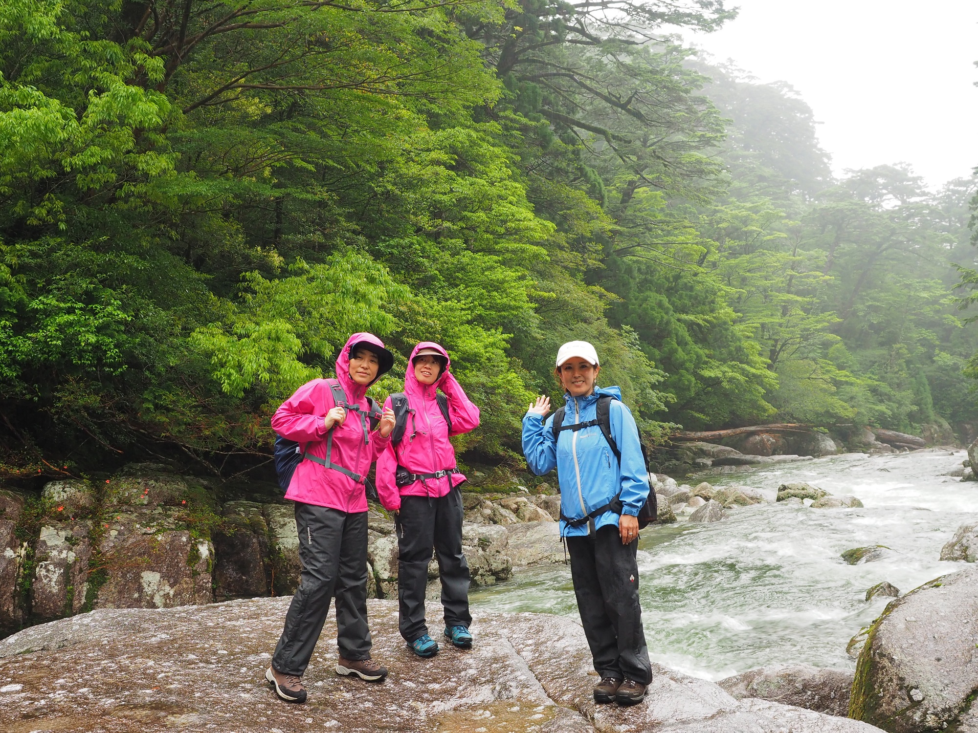 ヤクスギランドのさつき川原