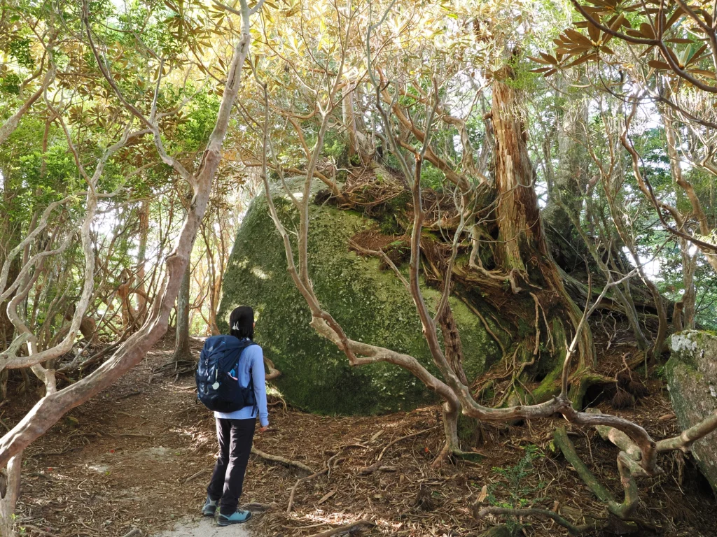 花崗岩の巨石
