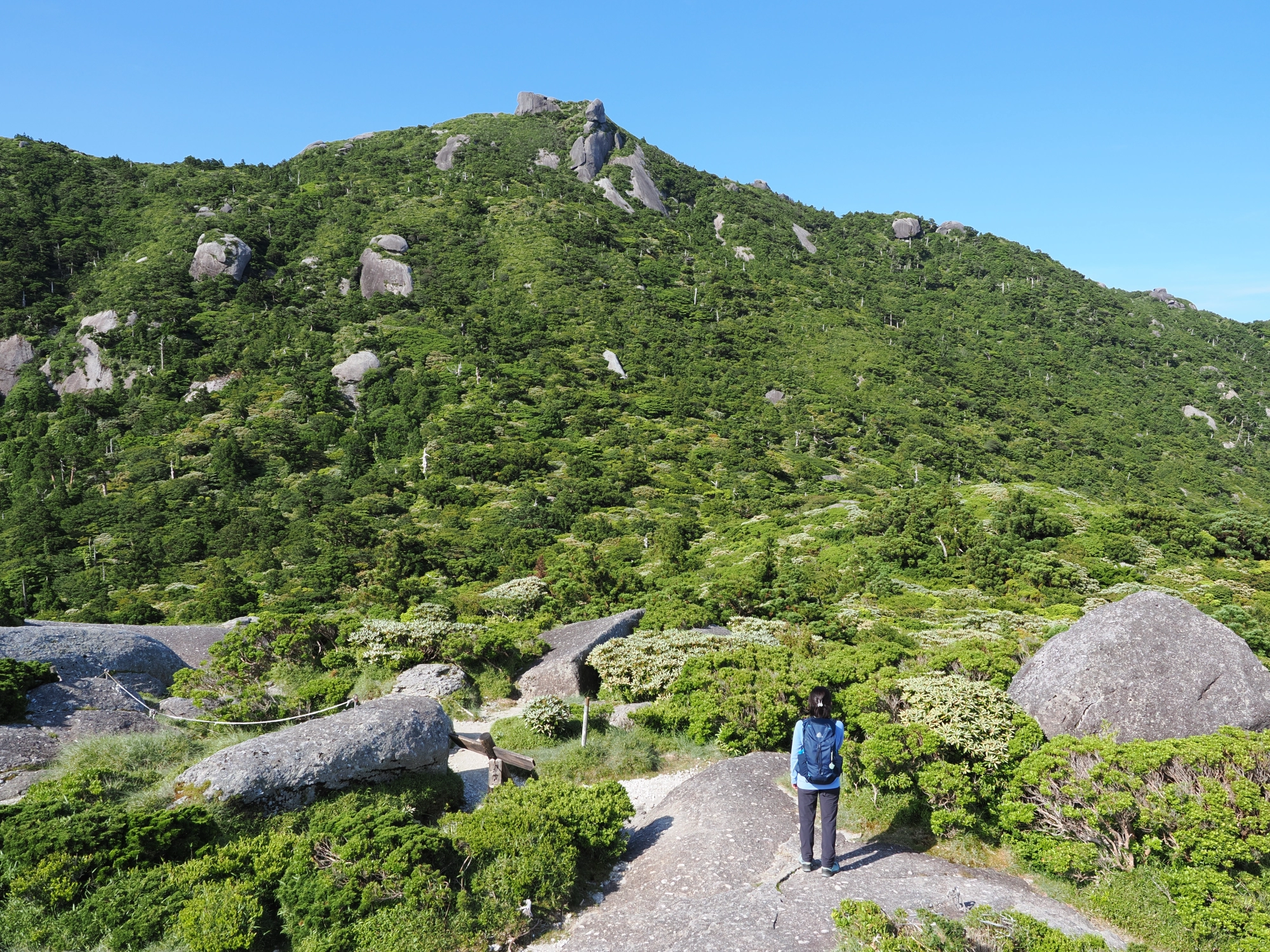 投石平から黒味岳を望む