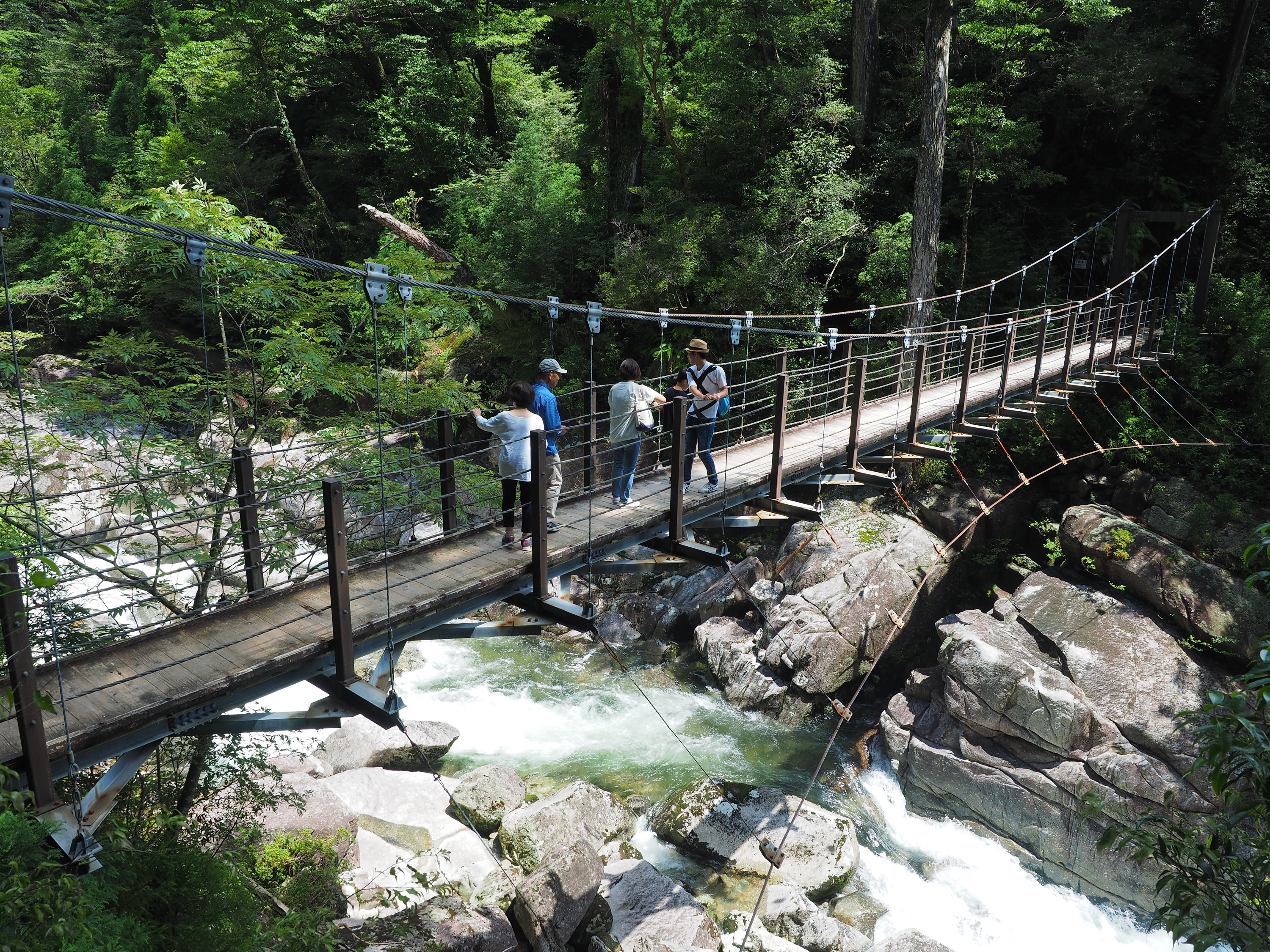 ヤクスギランド　荒川橋