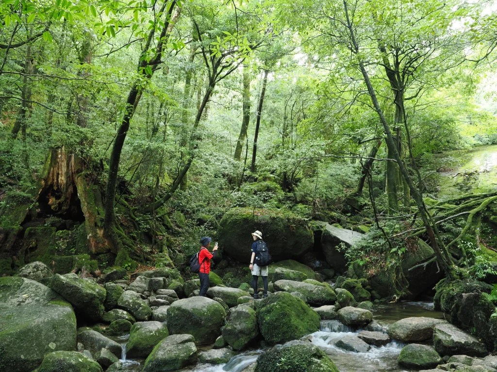 楠川歩道