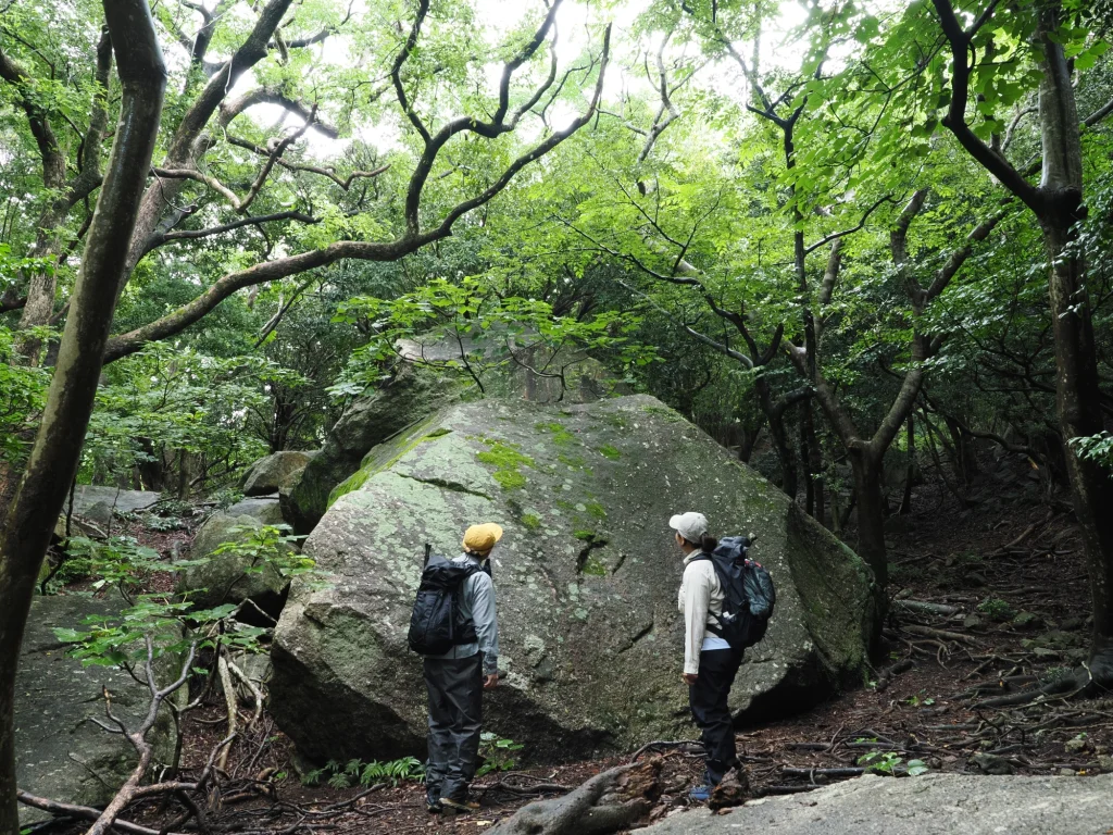 花崗岩の大岩